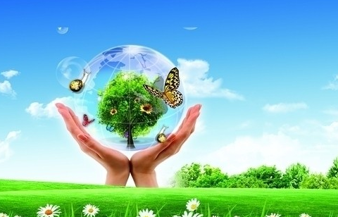 ������ҵ